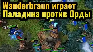 Wanderbraun: Паладин против Орды и Застройка башнями в Warcraft 3 Reforged