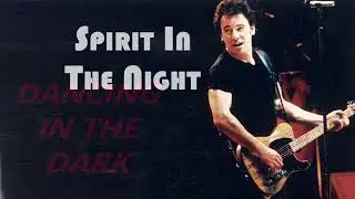 Bruce Springsteen: the answer to the NYS budget?