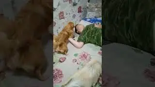 👍🤣Разговор по душам🤣👍