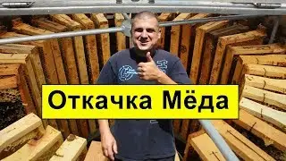 Откачка Мёда ✅ Новая Радиальная Медогонка Мелиса 93 ✅