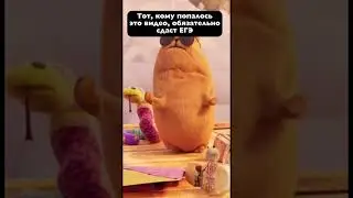 Как сдать ЕГЭ 