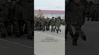 Почему россияне бегут из армии?