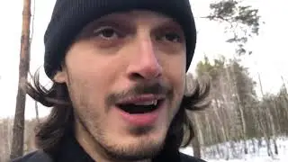 жмурики