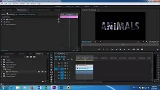 Adobe Premiere Pro CC Text Masking