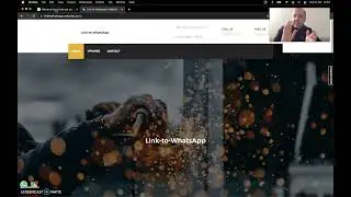 websites.co.in and WhatsApp Widget