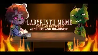 LABYRINTH MEME || FNaF 6 || Collab with 