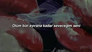 Rosenfeld - Till Death Do Us Part  (Türkçe Çeviri)