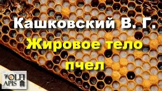 #Кашковский