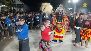 Banteng Suro galak WONGE ARYO BUDOYO Live Sumber Sanan Kulon Blitar 2025