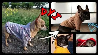 ОДЕЖДА для ЖИВОТНЫХ своими руками | Толстовка для животных своими руками | Hand Made | dashonok