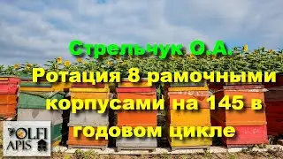 #Стрельчук