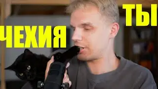 Кошка и закон | пiдкаст №15