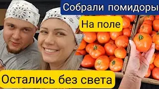 Такого еще не было/ ШОК/Остались без света/ Покупки в Walmart/ Болталка/ Америка/Влог/ О помидорах🥳