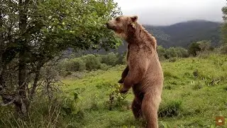 Le plus beau pays du monde - La France comme vous ne lavez jamais vue