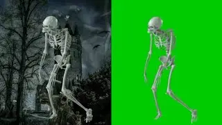 Green screen skeleton. Green screen ghost. Green screen Halloween.