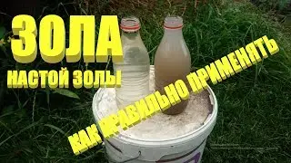 Подкормка золой.Настой древесной золы