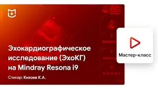 Эхокардиографическое исследование (ЭхоКГ) на Mindray Resona i9