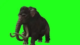 elephant green screen 🐘 free copyright video download 🐘 animals download green screen