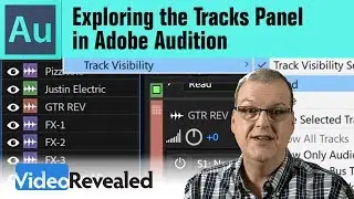 Exploring the Tracks Panel in Adobe Audition CC