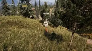 I got jumped by a wolverine in Far Cry 5