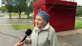 "Дублер МП не решит проблемы": что говорят воронежцы о вырубке рябиновой аллее