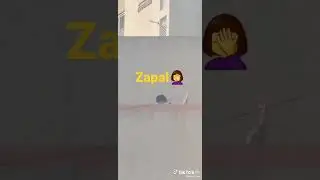 zapal zapal yigit va qiz