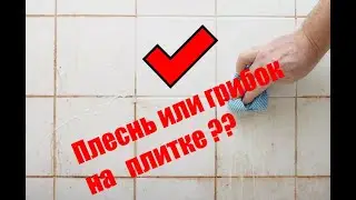 Как удалить плесень и грибок на плитке и в межплиточных швах в ванной?