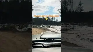 Городишко Лоухи #nissanpatrol #карелия #рыбалка