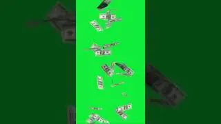 Dollars money falling fast motion green screen no copyright video footage