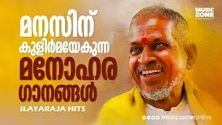 മനസ്സിനെ കുളിർപ്പിക്കുന്ന മനോഹരഗാനങ്ങൾ!!!| Ilayaraja Hits |Malayalam Super Hit Songs |Video Jukebox