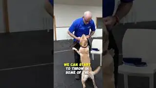 It's About ME And My PUPPY