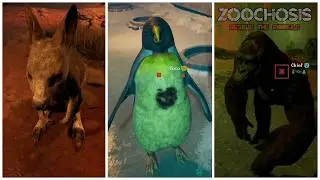 Zoochosis jumpscares