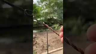 Genius Idea