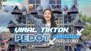 YANG KALIAN CARI CARi || Dj Pedot Asolole Viral Tiktok  X Paradize