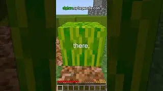 How To Make MONEY Playing Minecraft!