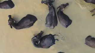 DJI - Captured by You: The Wilderness