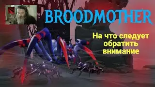 Broodmother. На что следует обратить внимание/Dota 2.