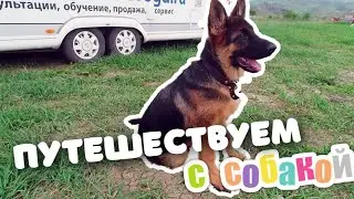 Путешествуем и пересекаем границы в доме на колесах с собакой