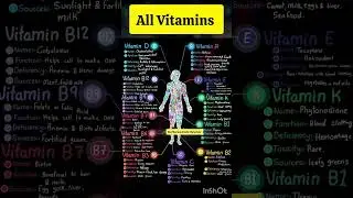 All Types of Vitamins and Their Functions ll