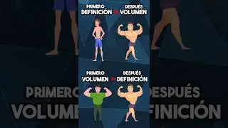 🤔¿NO SABES Si Hacer Definición O Volumen? Checa Esta Guía Para Gordiflacos💪🏼 