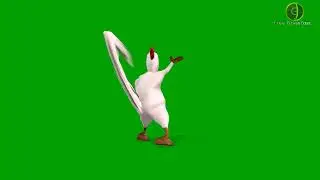 Chicken Dancing Green Screen HD