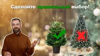 Новогодняя ёлка будет стоять до весны.