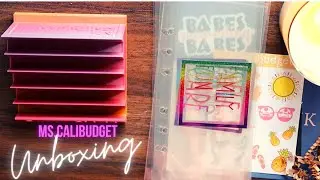 Unbox With Me | Ms.CaliBudget | Cash Tray | Cash Envelopes