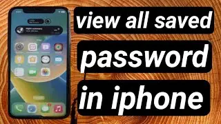 How to view saved password in iphone/Show all saved password in iphone