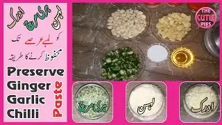 How to make Ginger Garlic Chili Paste  | Adrak Lehsun Hari Mirchi ki Paste bnayen | The Cutie Pies