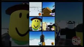 Sled Chaos 