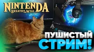 #4  Сколько Корокских семечек можно найти за один стрим? The legend of Zelda breath of the wild