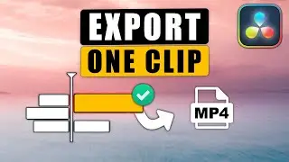 How to EXPORT SINGLE CLIP in Davinci Resolve