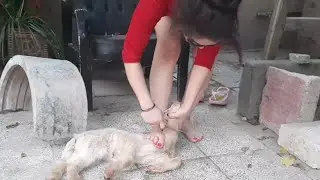 woman butcher goat/ fahima vlog