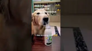 😱ТОП 100 ИНТЕРЕСНЫХ ФАКТОВ ПОЧТИ ОБО ВСЕМ НА СВЕТЕ || 55🔥